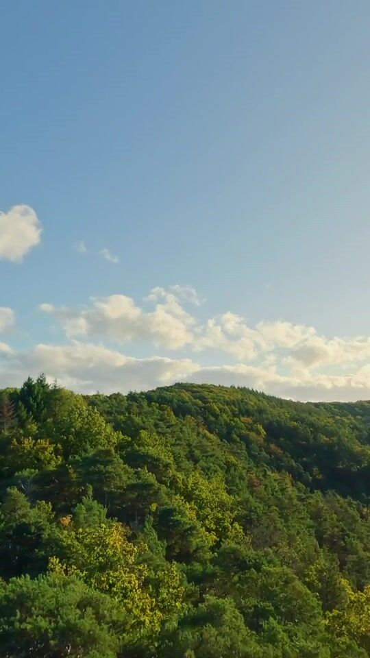 Hochformat-Szene aus dem Showreel: bewaldete Hügel im Abendlicht